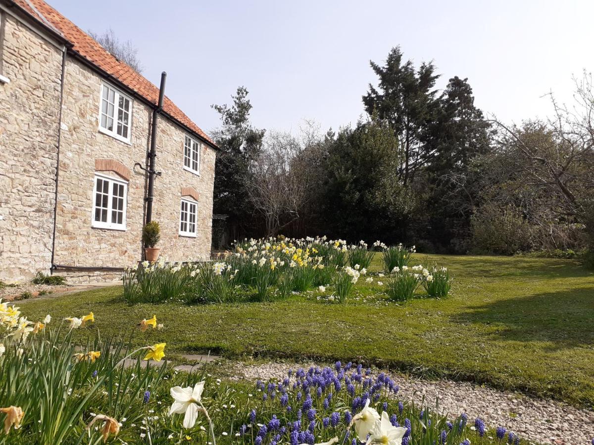 Characterful Cottage Adjacent To An Orchard Brockley Dış mekan fotoğraf